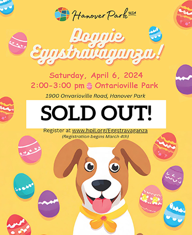 RESIZED sold out doggie flyer